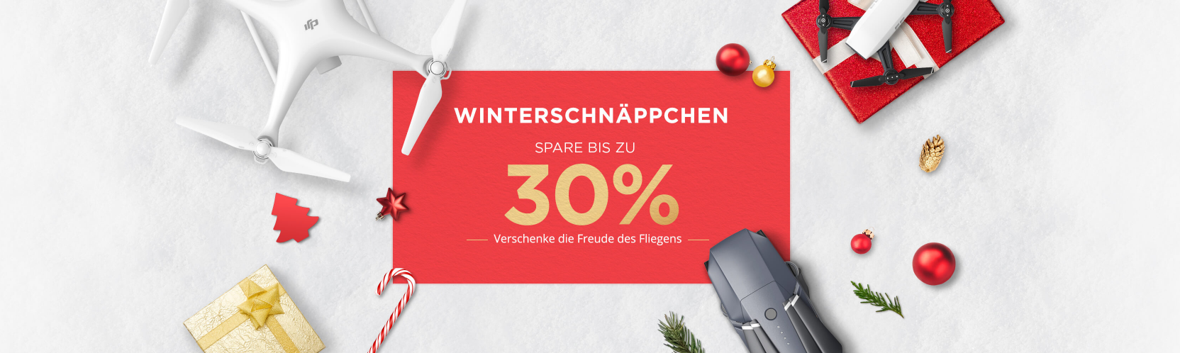 DJI Wintersale