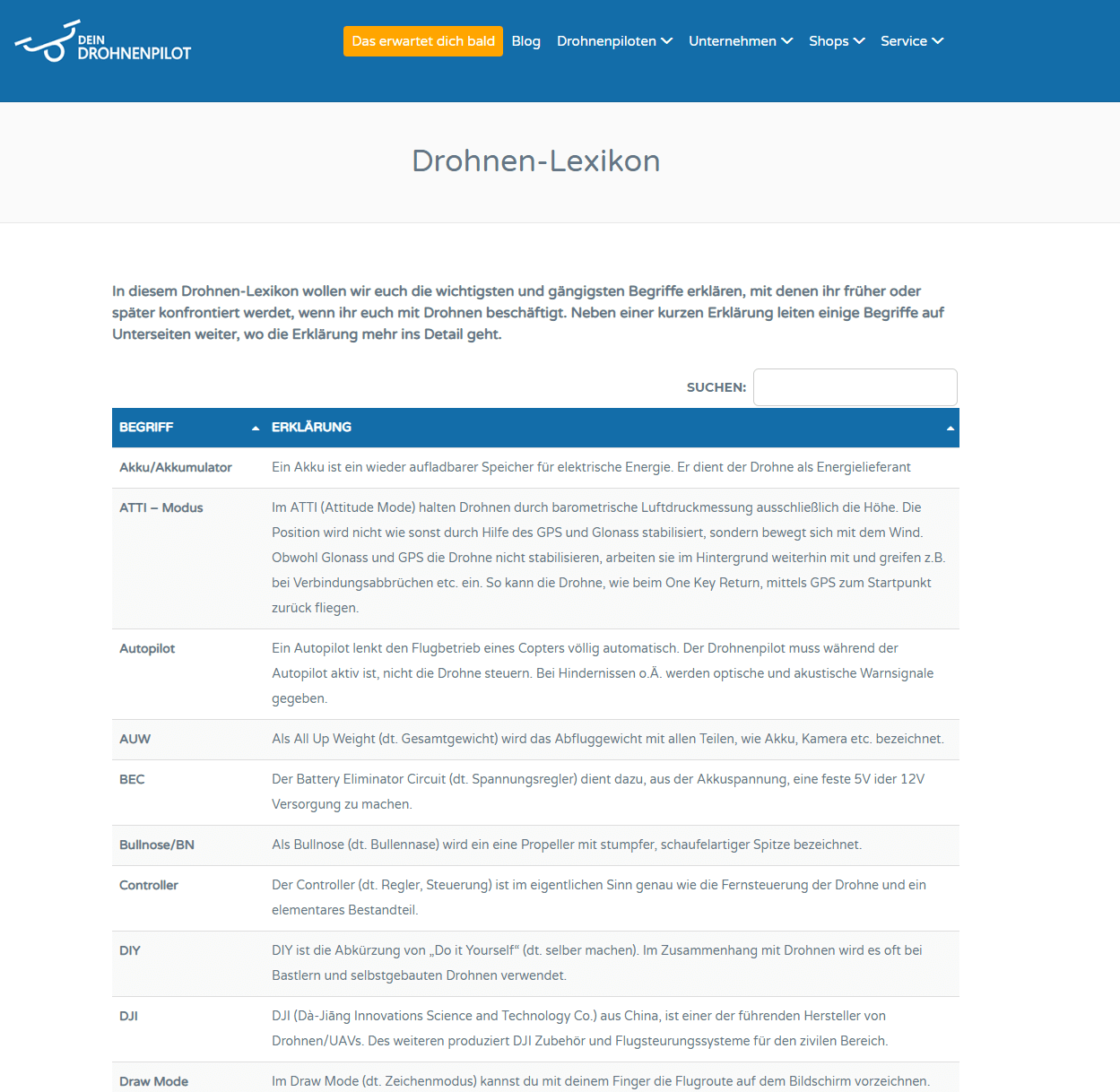 Drohnen-Lexikon-Fachbegriffe