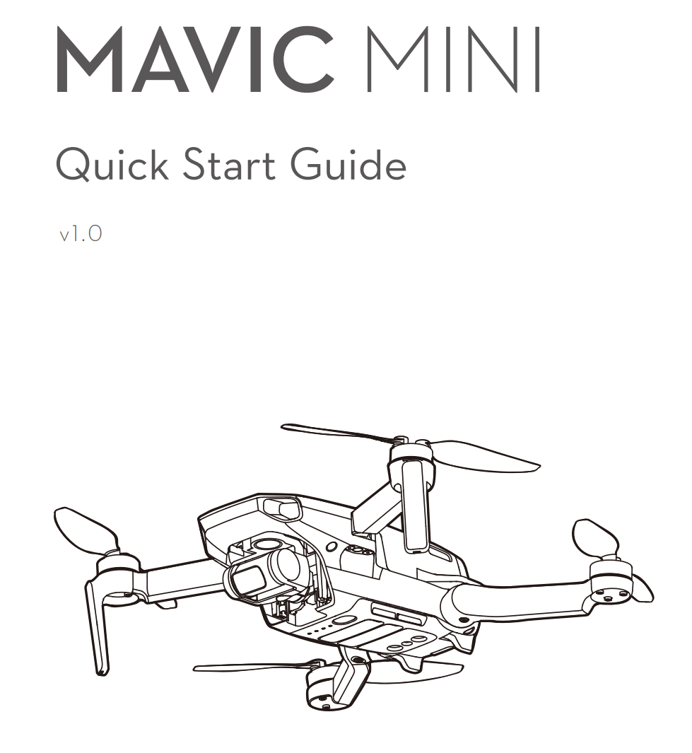 DJI Mavic Mini Handbuch Bedienungsanleitung