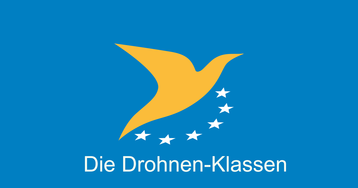 www.dein-drohnenpilot.de