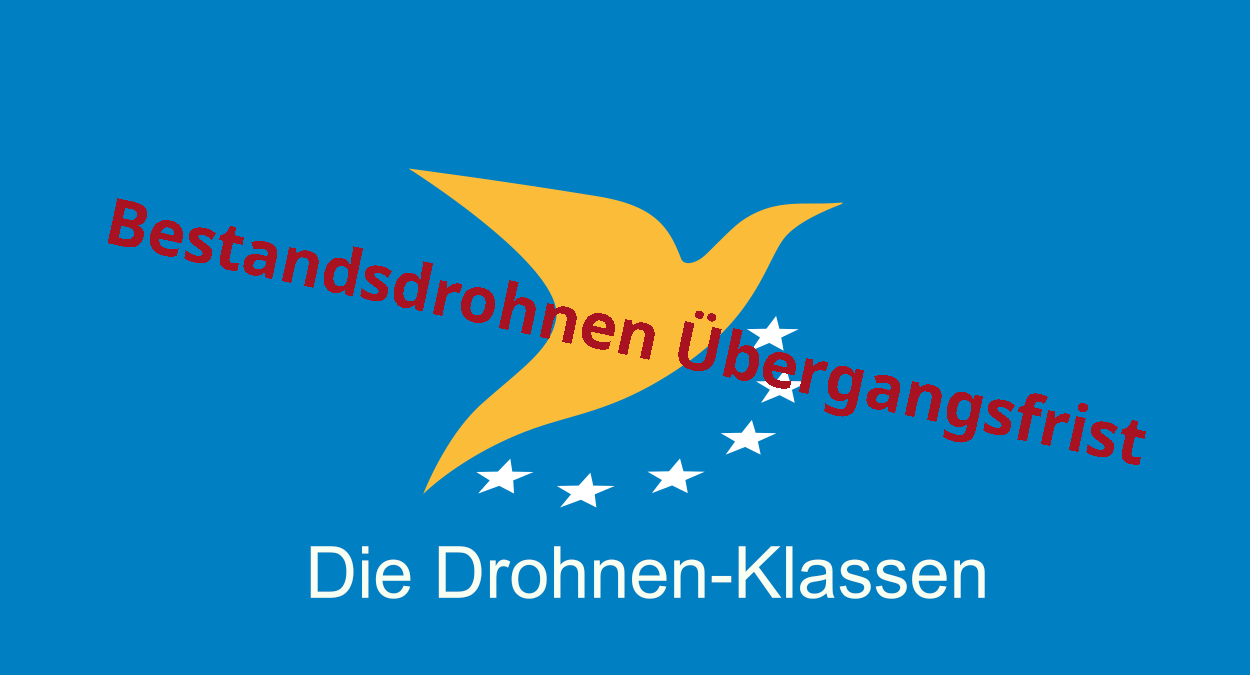 www.dein-drohnenpilot.de