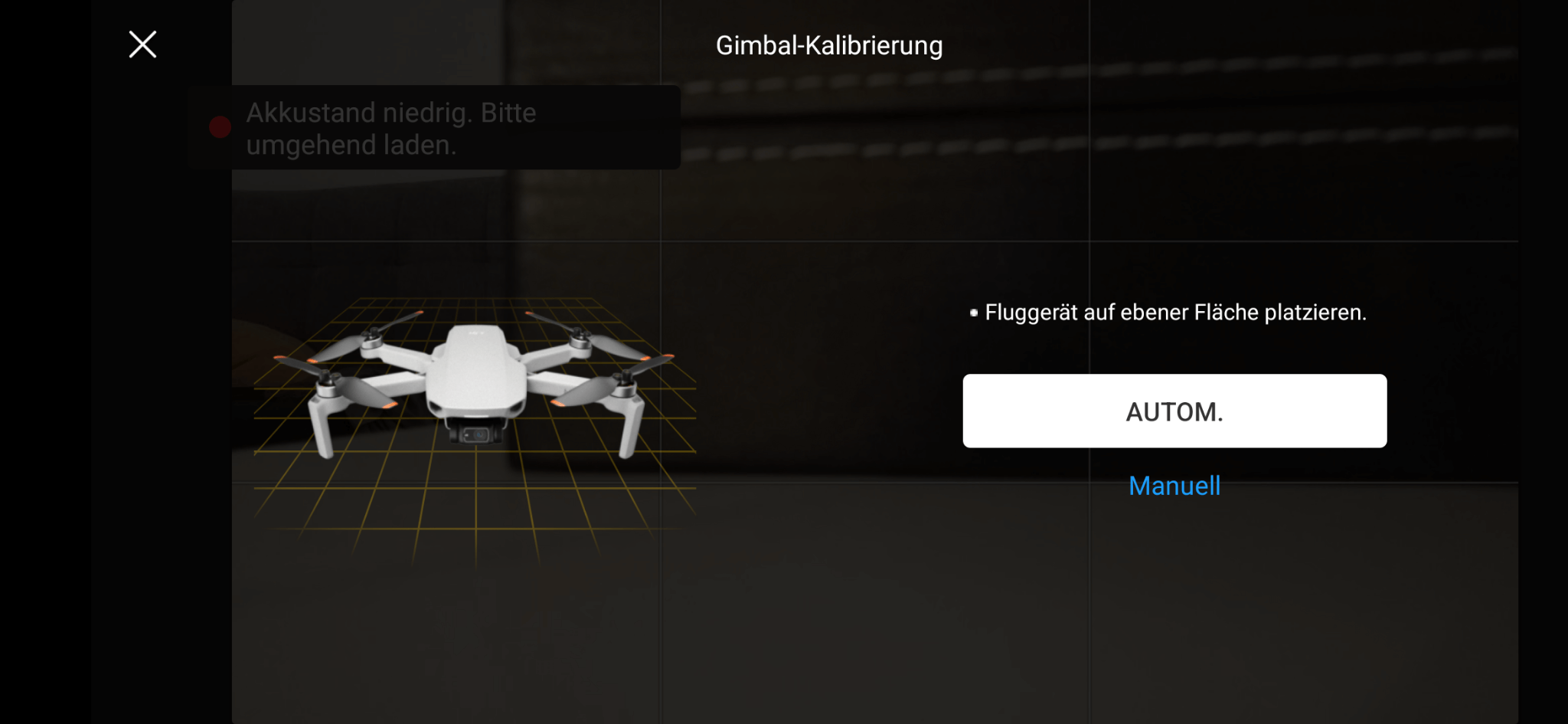 DJI Mini 2 Gimbal kalibrieren Optionen