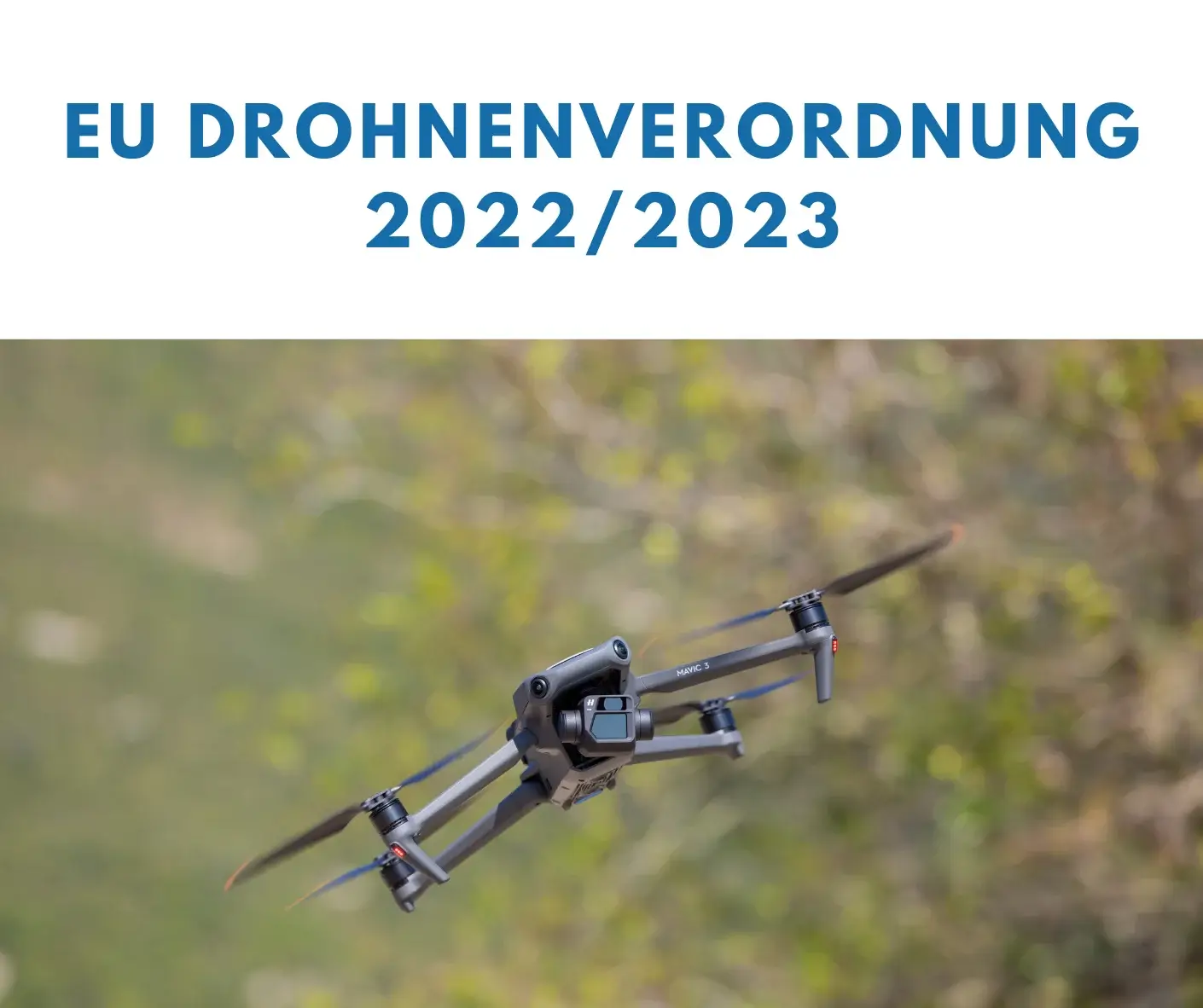 www.dein-drohnenpilot.de